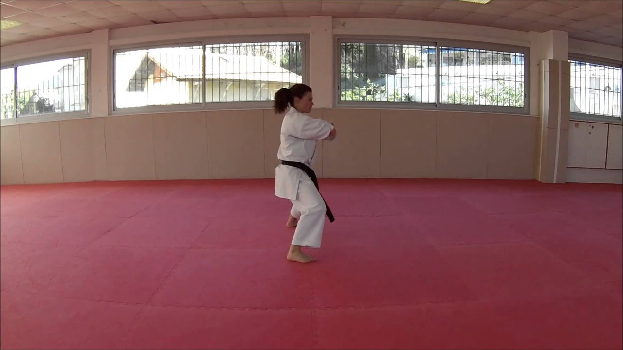 Heian Godan - Karate Training Sonia Fiuza