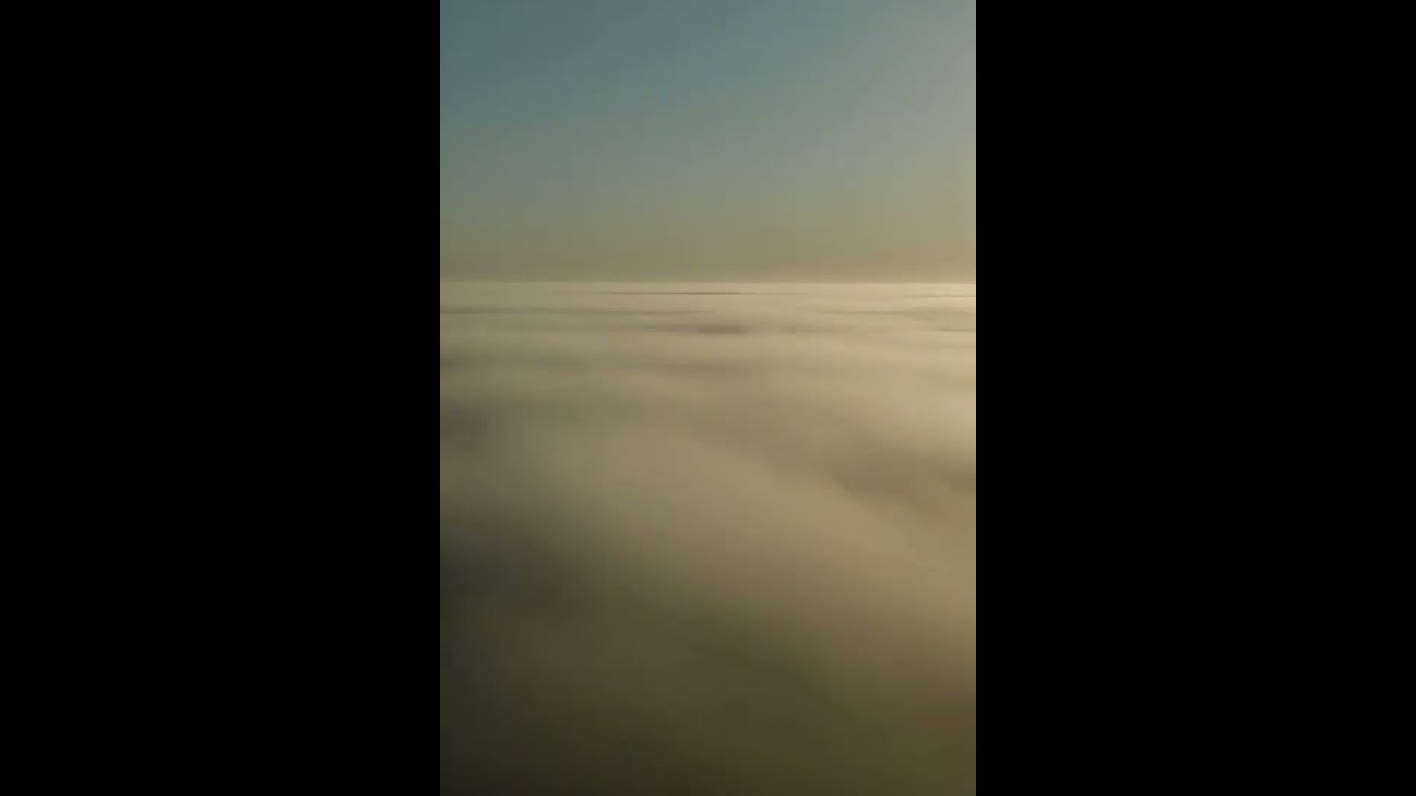 Fog Resting Over an Empty Field | 20 Minutes of Quiet Calm