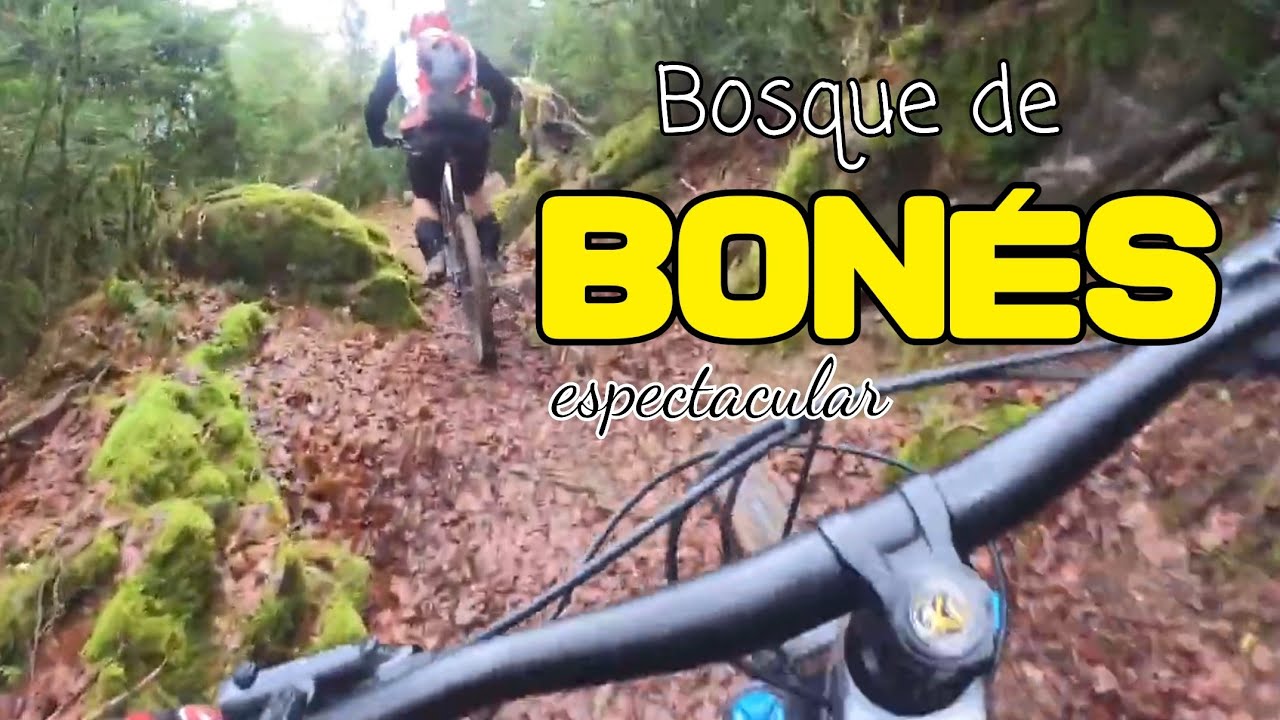 Subida por el  bosque de Bonés