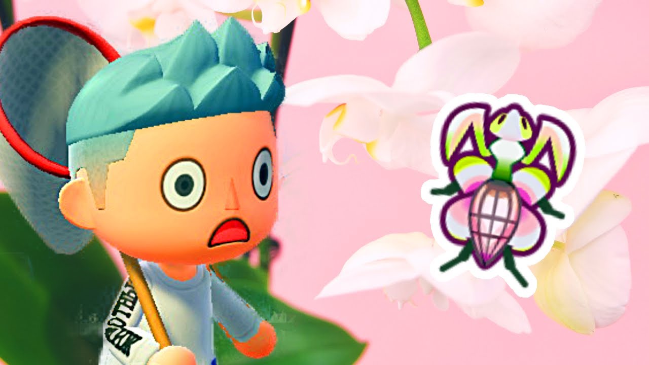 My Orchid Mantis Farm in Animal Crossing New Horizons
