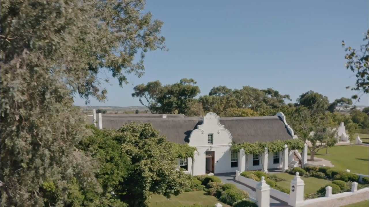 Weingut Vergenoegd Löw in Stellenbosch, Südafrika - Feierlicher Beginn der Weinlese