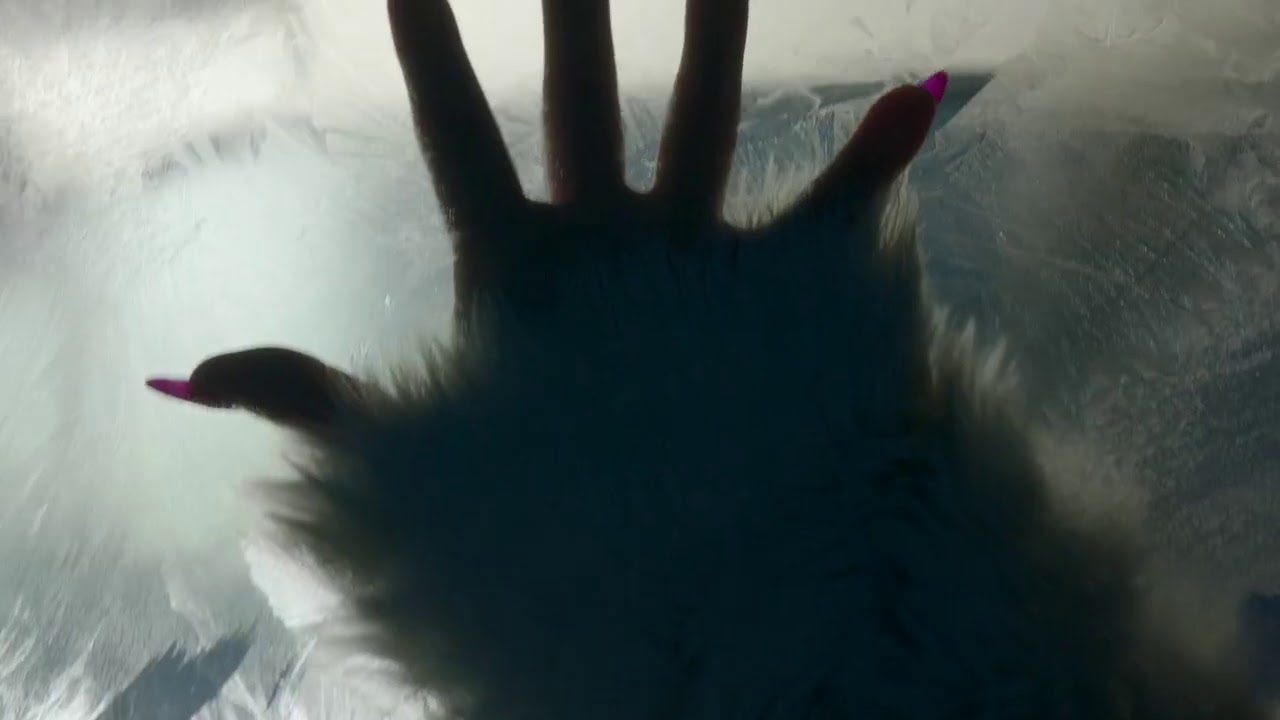 Ryfa Ri & Panama   POPROSZĘ POLOKAINĘ.