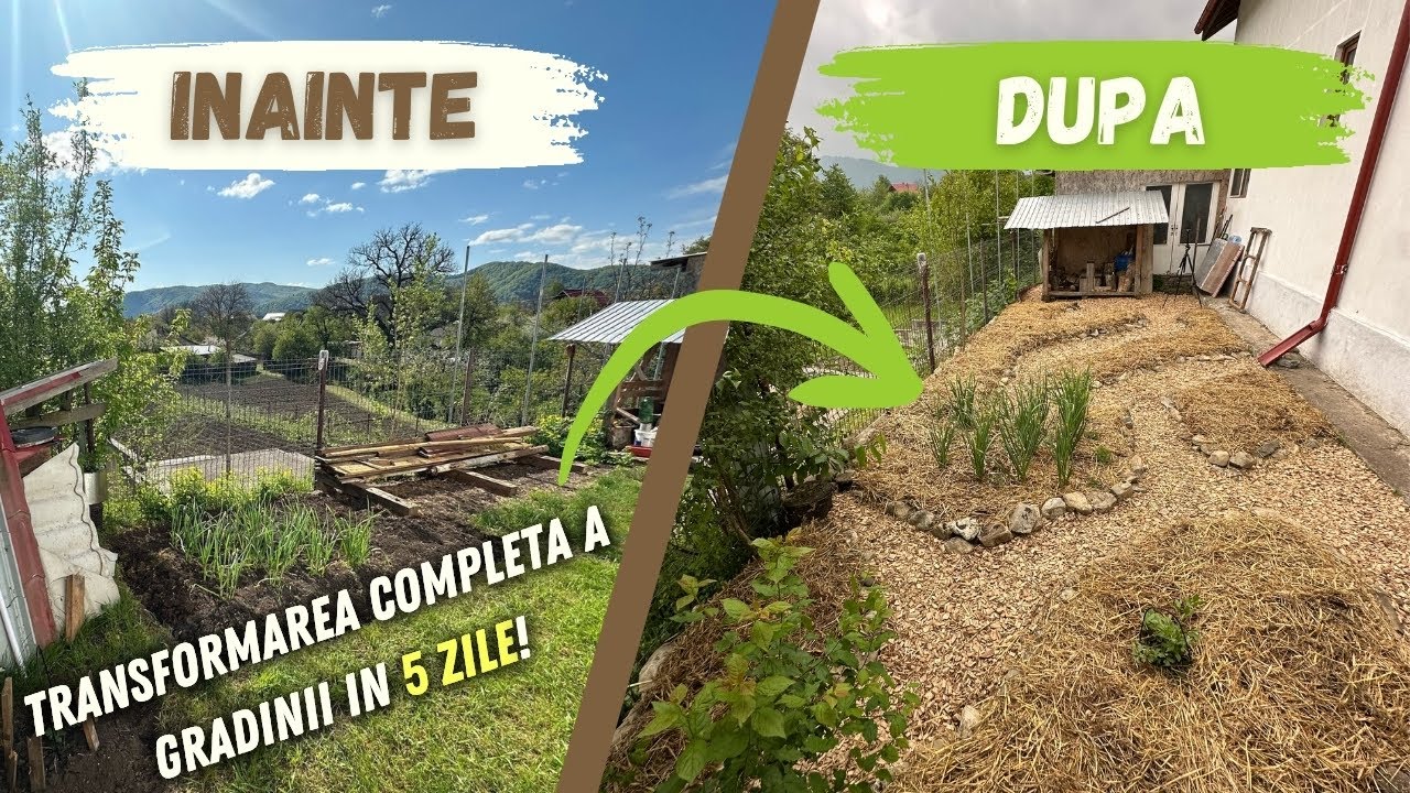 🌱𝐈𝐦𝐩𝐥𝐞𝐦𝐞𝐧𝐭𝐚𝐫𝐞 𝐌𝐢𝐜𝐫𝐨 𝐃𝐞𝐬𝐢𝐠𝐧 𝐝𝐞 𝐏𝐞𝐫𝐦𝐚𝐜𝐮𝐥𝐭𝐮𝐫𝐚 𝐢𝐧 𝟑𝟓 𝐦𝐩 | 𝐀𝐛𝐮𝐧𝐝𝐞𝐧𝐭𝐚 𝐢𝐧 𝐏𝐞𝐫𝐦𝐚𝐧𝐞𝐧𝐭𝐚
