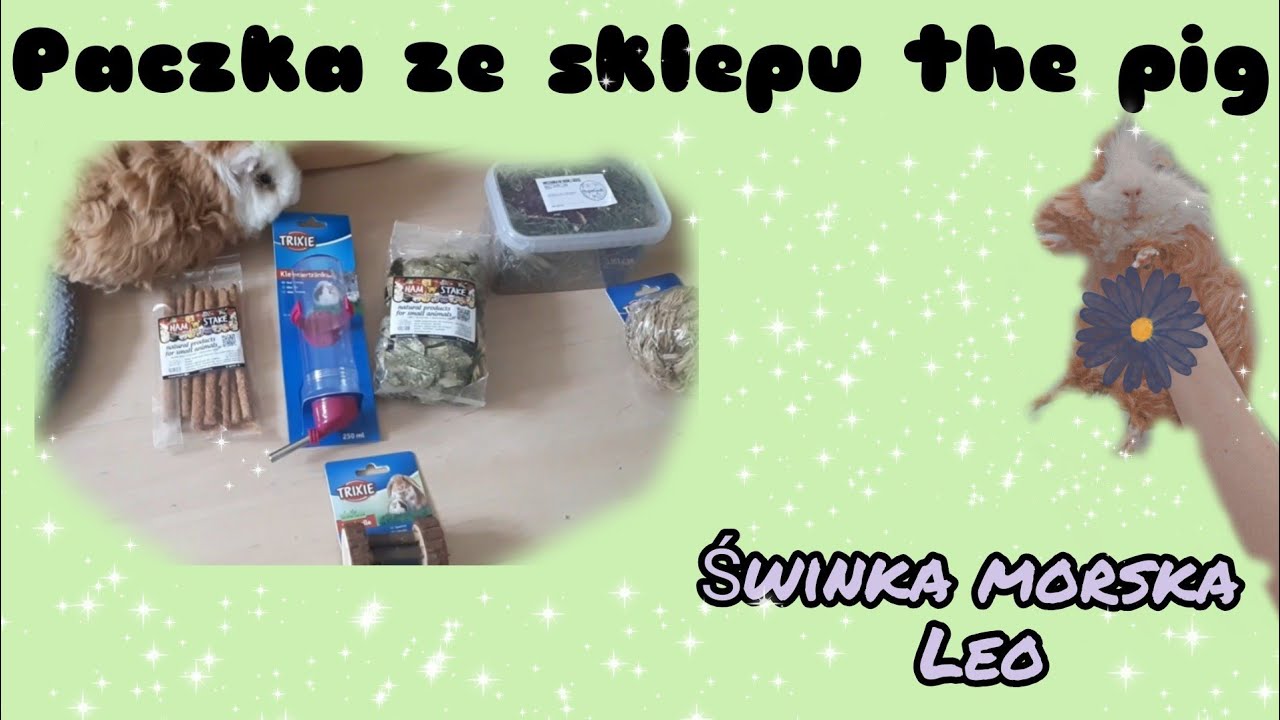 🌿Paczka ze sklepu The pig🐹/ Świnka morska Leo