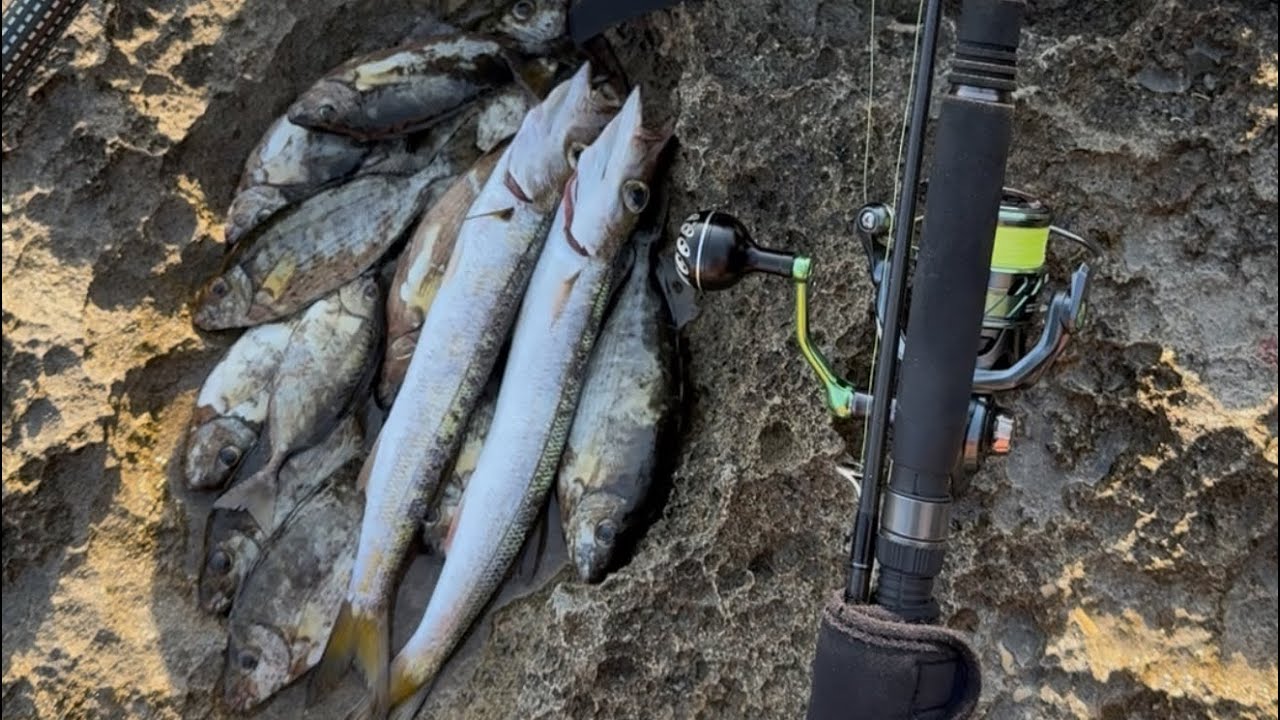 BALIK PEŞİNDE / Bu Sistemde Balık Garanti / At Çek Spin LRF Balık Avı #fishing 