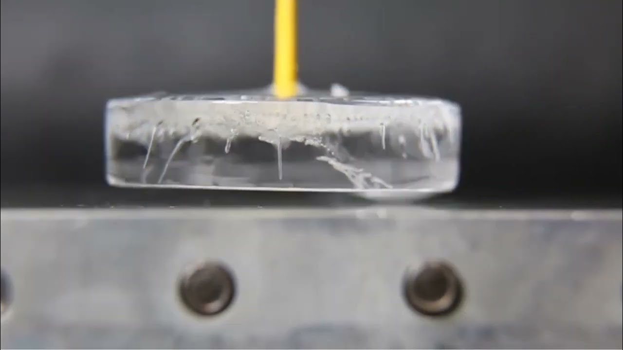 Three-phase Leidenfrost effect