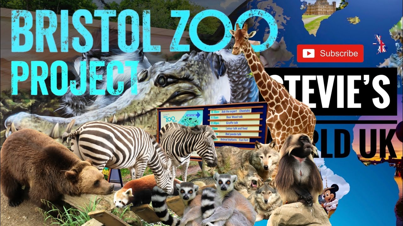 BRISTOL ZOO PROJECT FULL ANIMAL TOUR & AFRICAN FOREST CONSTRUCTION UPDATE
