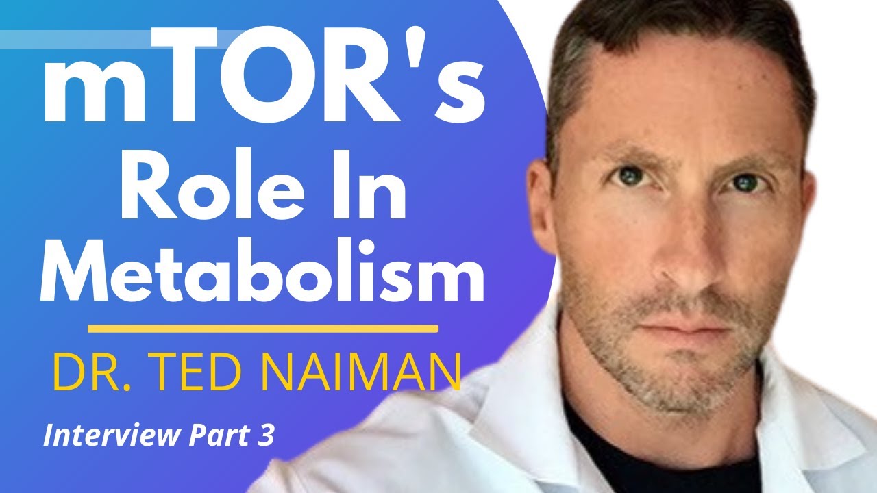 mTOR's Role In Metabolism | Dr Ted Naiman Ep 3