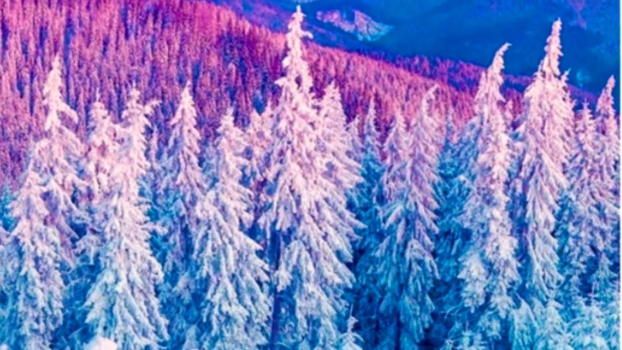 Мила Nine) 10 фактов о бо мне!