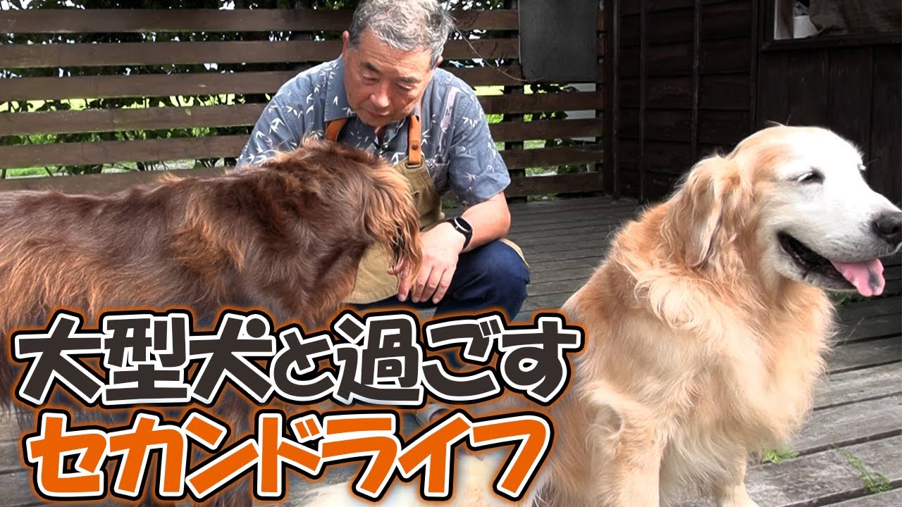 犬好きにはたまらないセカンドライフ