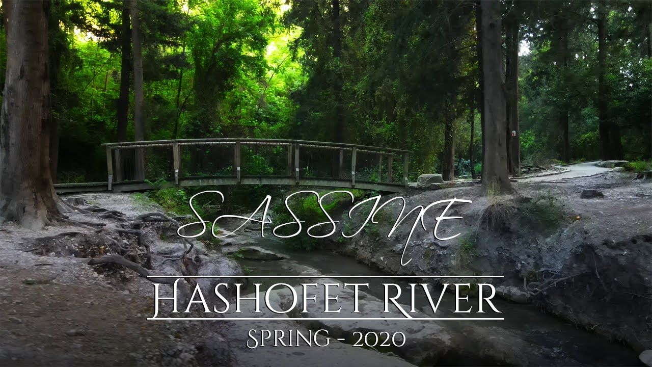 Nahal Hashofet (Hashofet River-Stream) (Mavic Air 2 - Cinematic 4k 60fps)