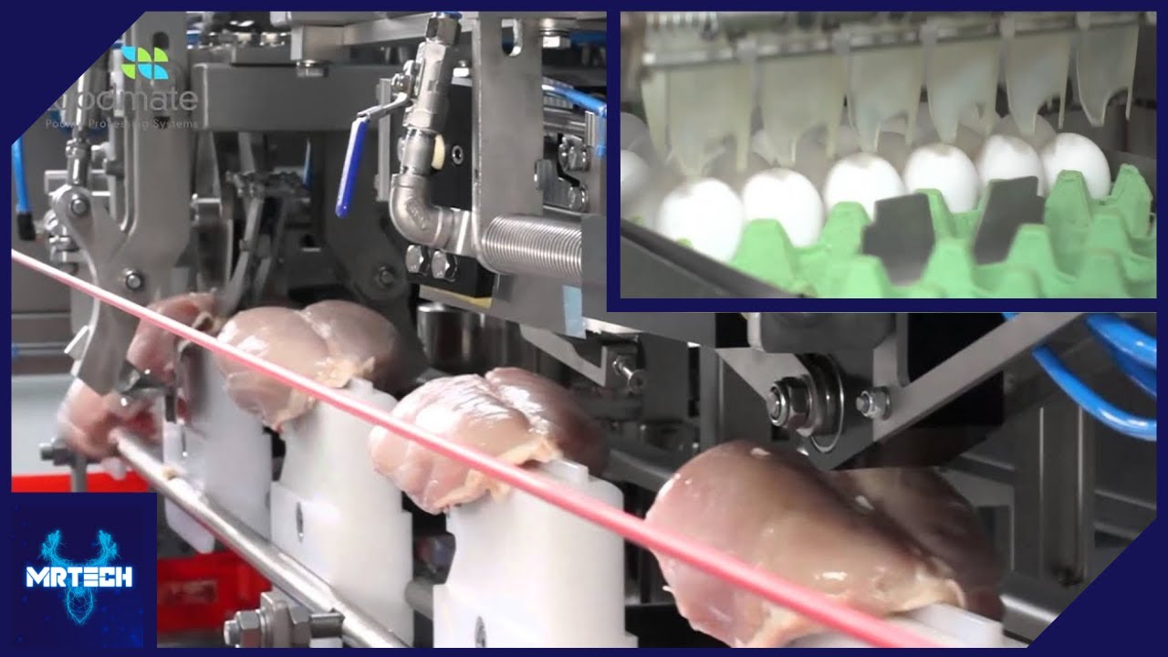 Most Satisfying Food Industry Machines & Ingenious Tools ▶ 9 | MrTech