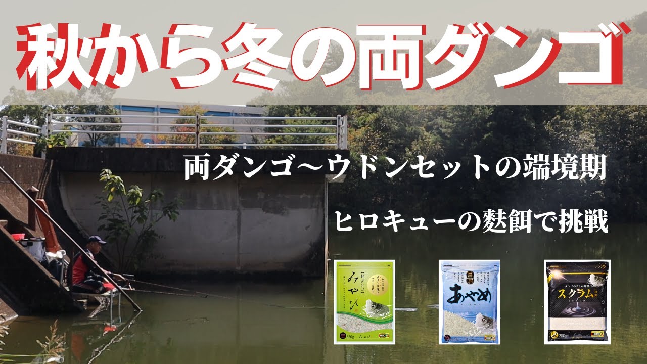【令和4年10月下旬】秋から冬へエサの端境期をヒロキューのあやめ・みやび・スクラムで攻略【両ダンゴ】