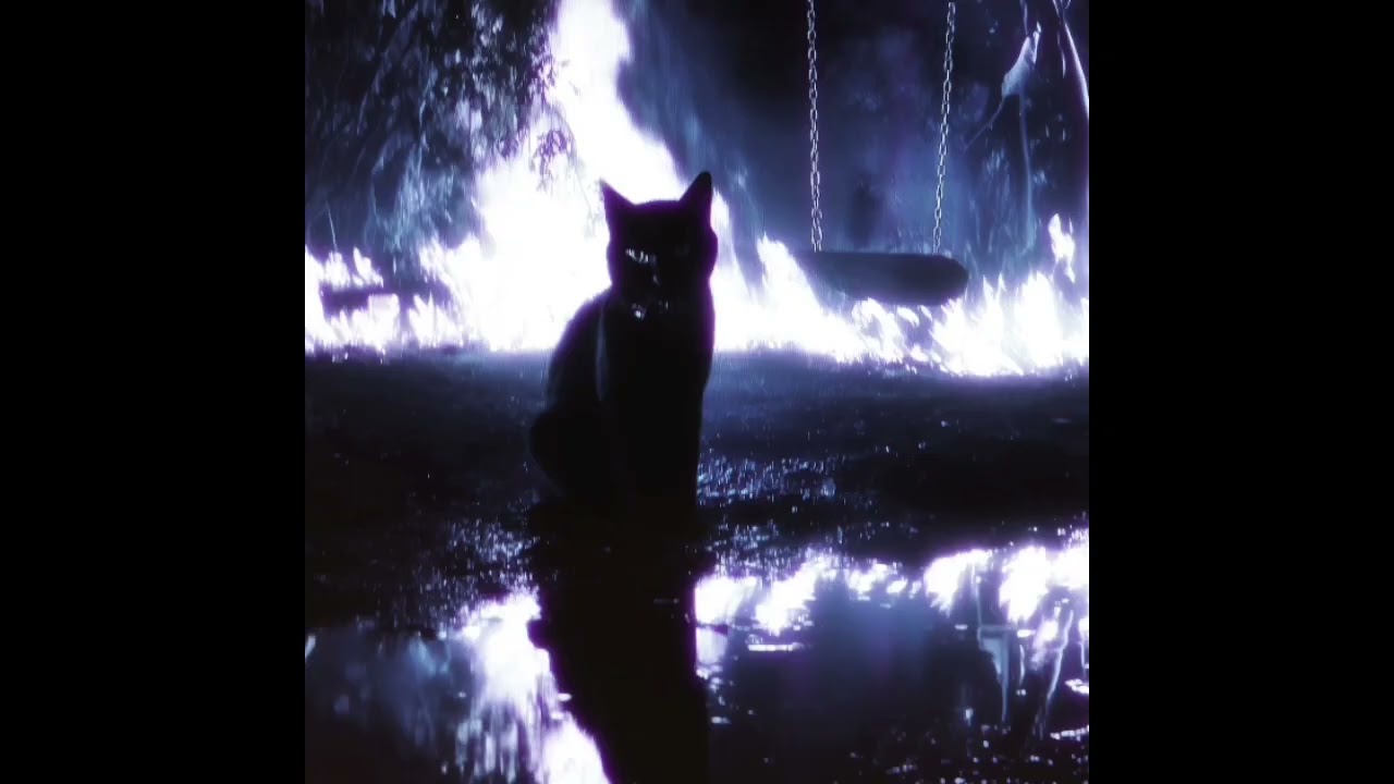 MI GATA - Junior H y Gael Valenzuela (Audio)