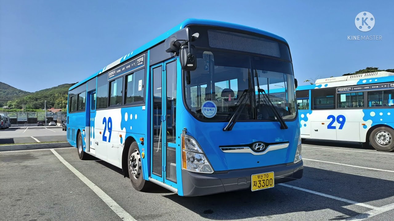 부산버스사진