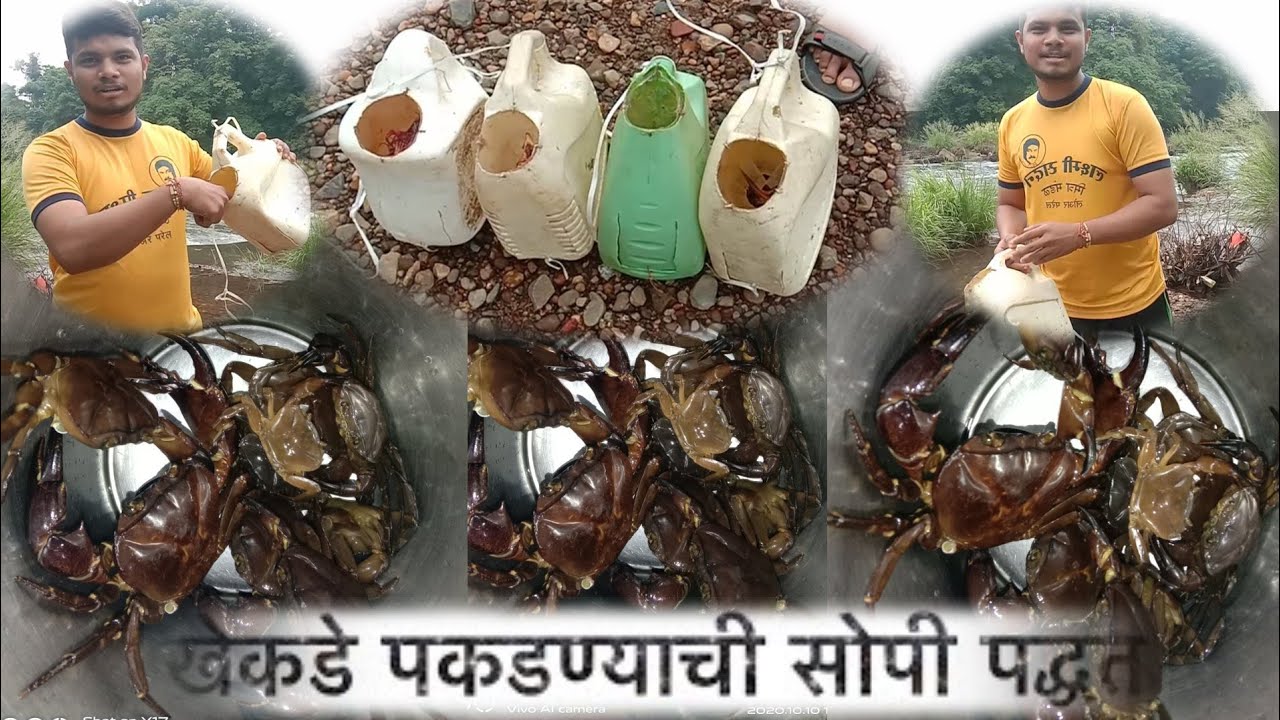 🦀खेकडे पकडण्याची  सोपी पध्दत  । 🦀नदीतील खेकडे कसे पकडायचे । 🦀