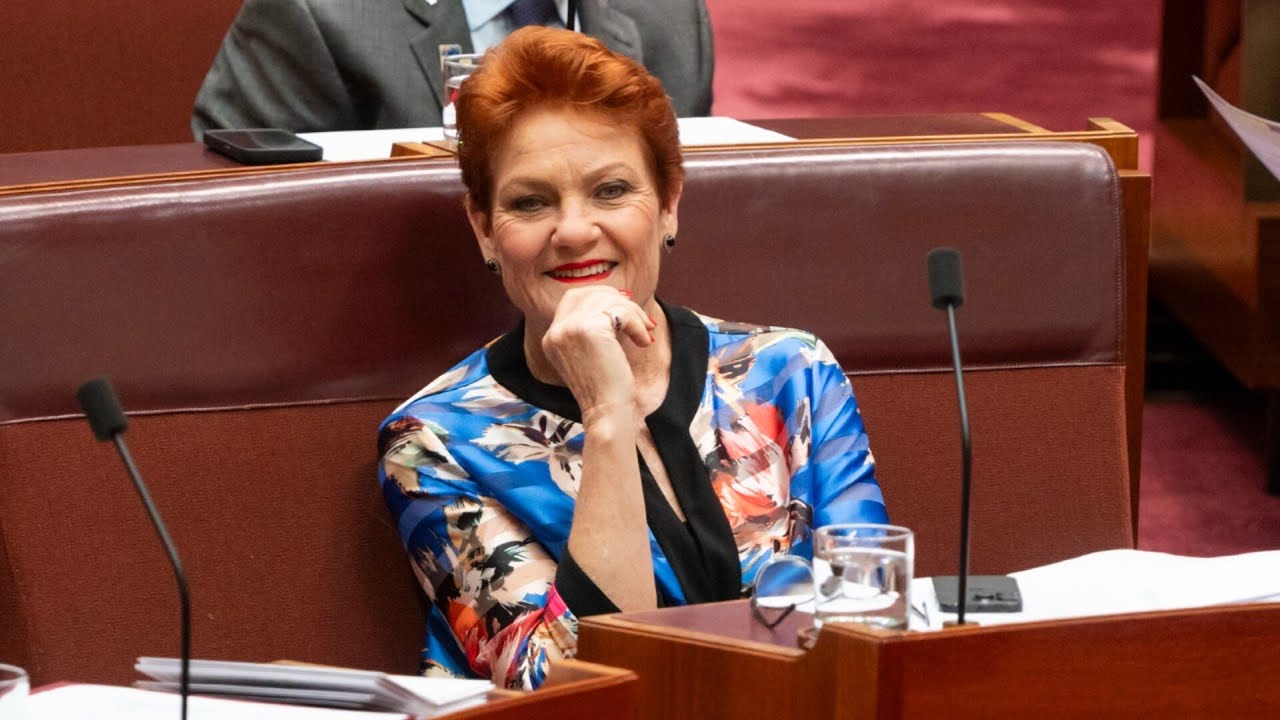 Pauline Hanson believes she ‘owns’ the issue of immigration in Australian politics