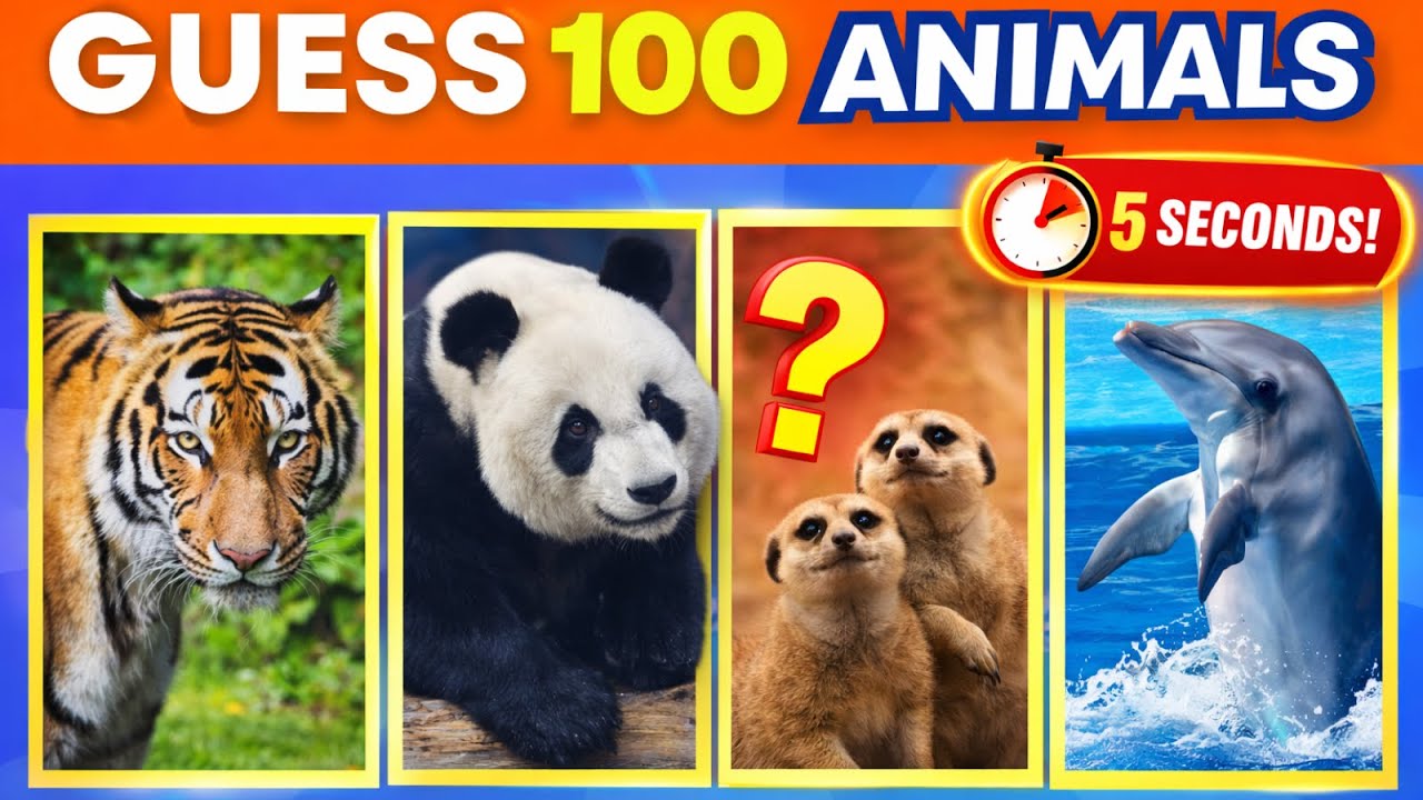 Beat This 100 Animal Quiz Challenge in 5 Seconds Each | Beat and Quiz