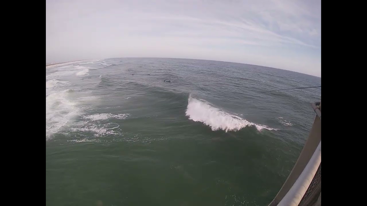SURFER'S FAIL WHAT COULD GO WRONG 
