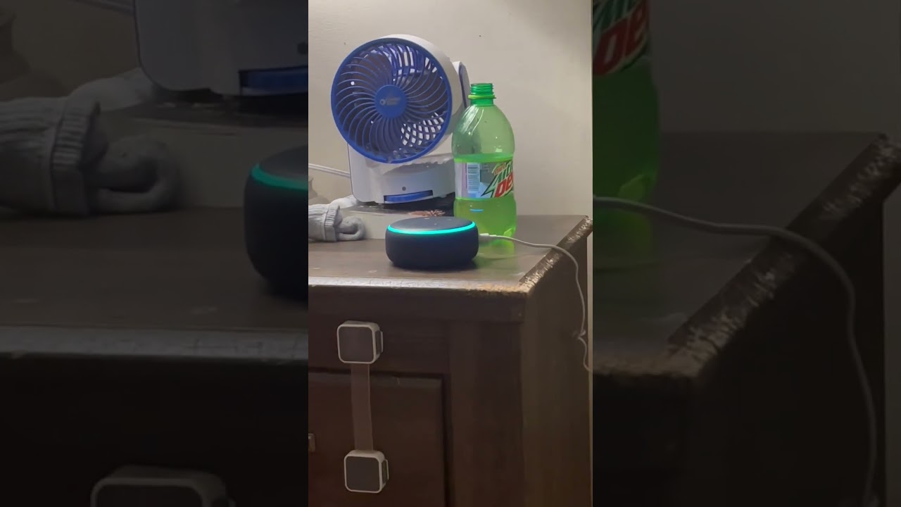 😳 Alexa hates Google and Siri?!?