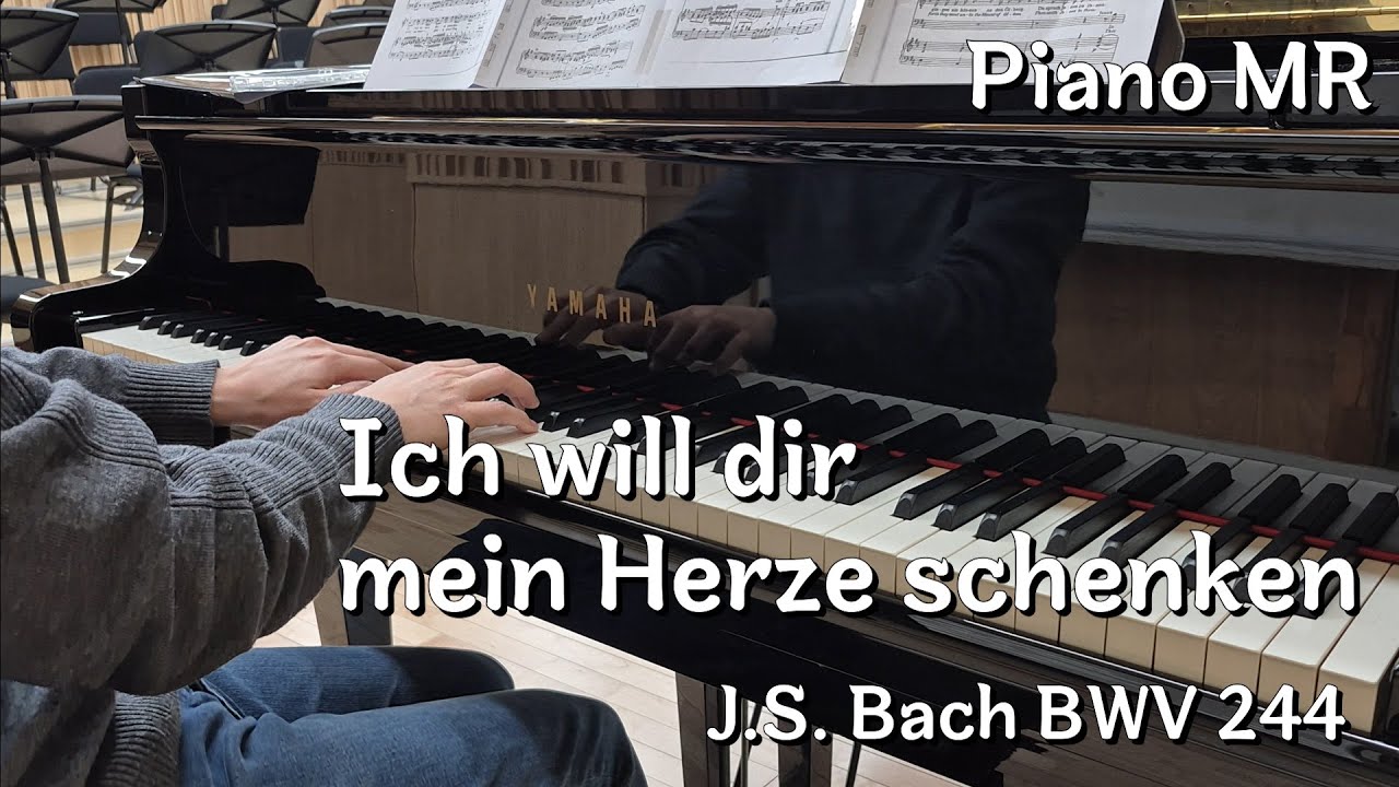 Ich will dir mein Herze schenken, Matthäus-Passion, BWV 244, J.S. Bach (Piano Accompaniment)
