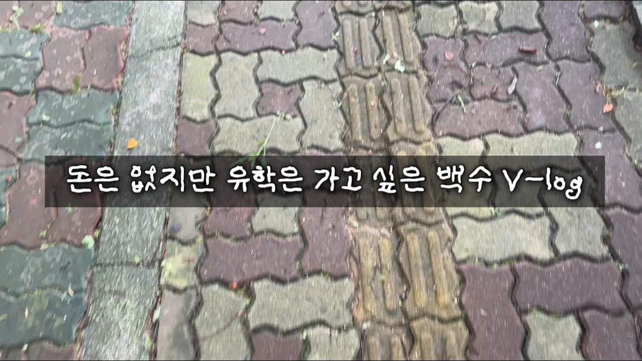 (sub) 돈은 없지만 유학은 가고 싶은 백수 V-log | 알바 | 일상 | 별거 없는 하루 ep.0