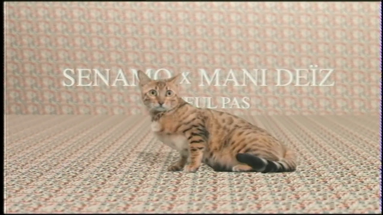 Un seul pas - Senamo & Mani De&iuml;z