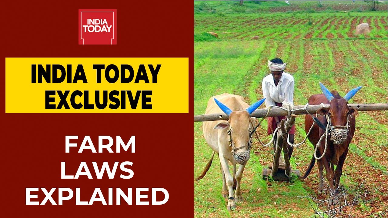 Farm Laws EXPLAINED | WATCH This Report From India Today's Preeti Choudhry