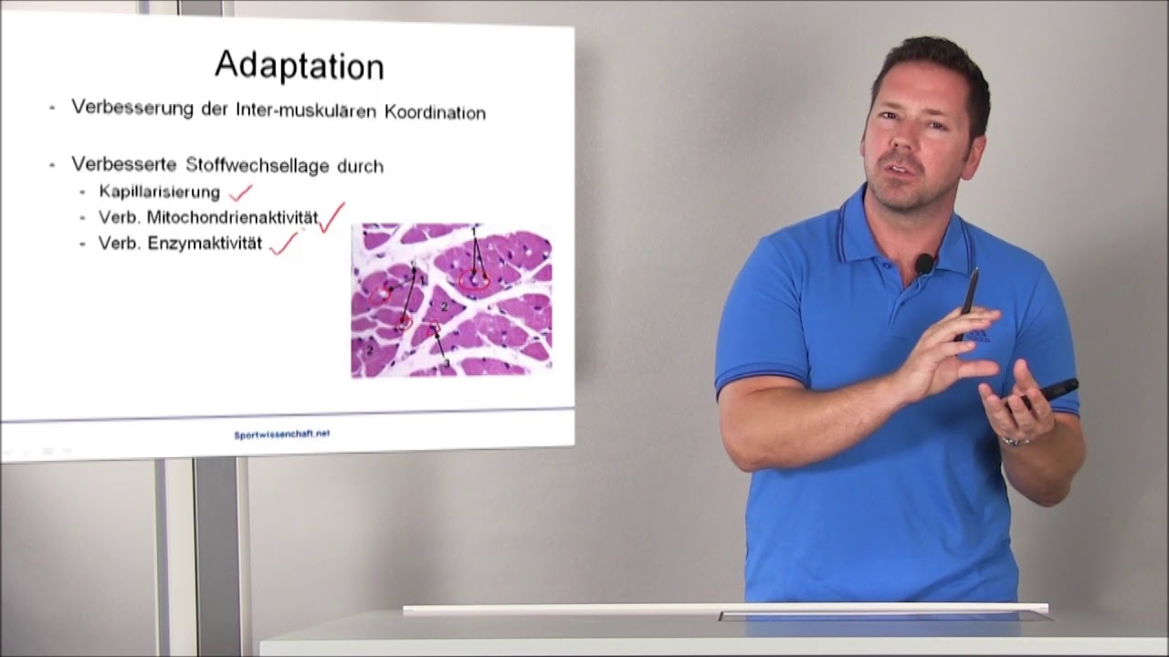 Basics Kraftausdauer