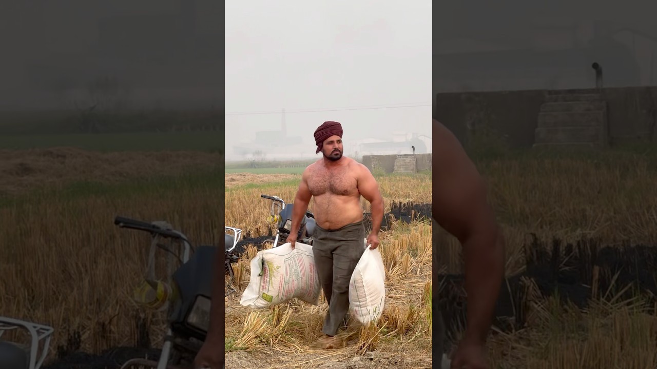 Desi CHOBAR🔥🦬 #fitness #jattlife #desi #bodybuilder #farmer #shorts #khetibadi