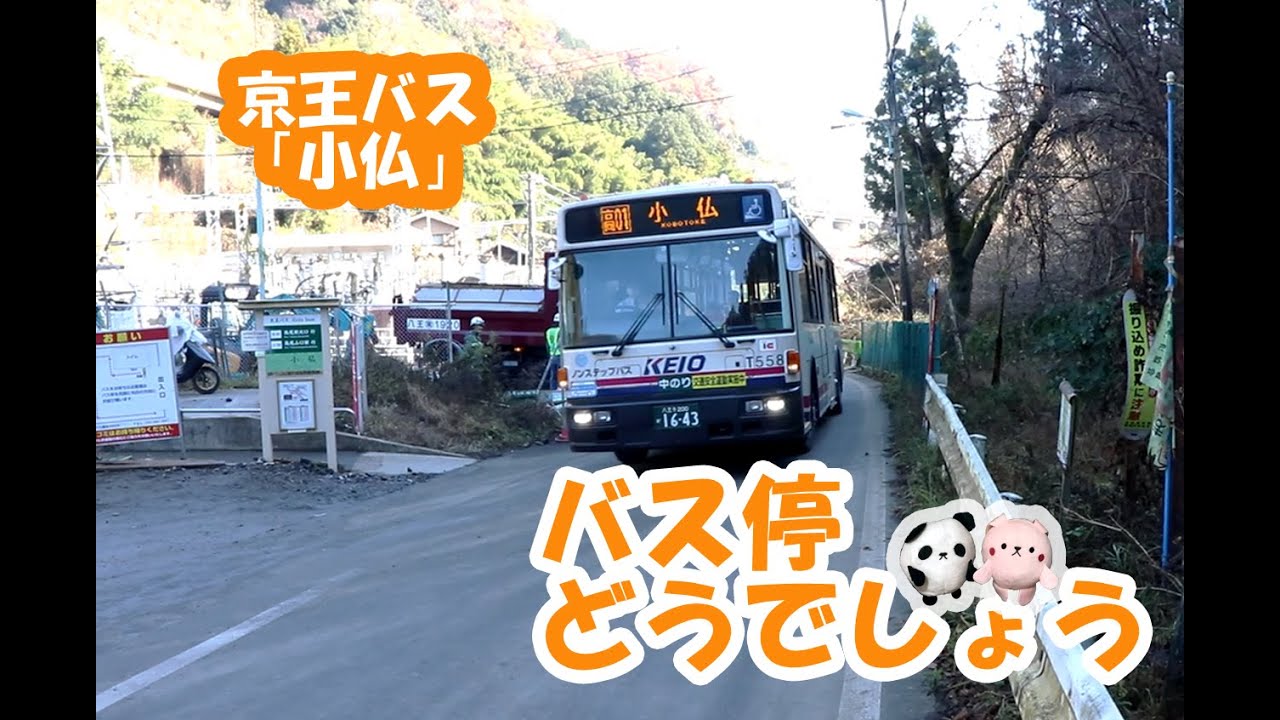 バス停どうでしょう「小仏（こぼとけ）」京王バス