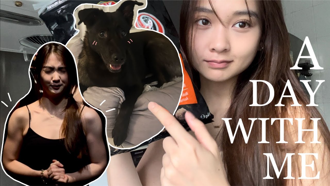 A Day with Me: 和狗狗搬進新居🏠做gym操膊🏋🏻‍♀️皮膚好+尖面秘密武器❕去水腫神器💧 | Santis Chan 陳映影 ft. ZIIP HALO
