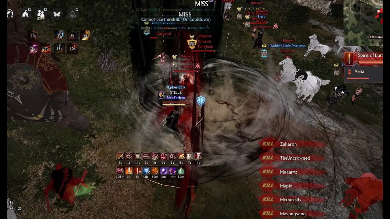 Black Desert - Musa Player