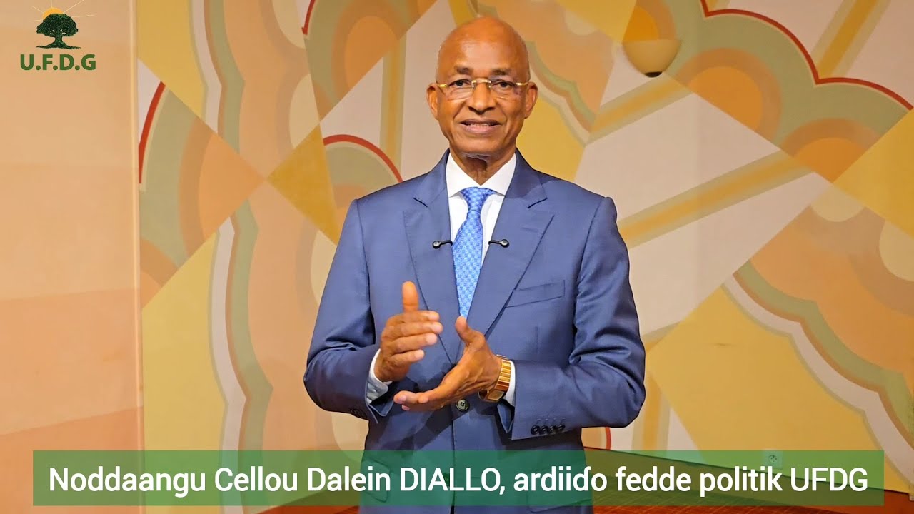 Noddaangu Cellou Dalein DIALLO, ardiiɗo fedde politik UFDG