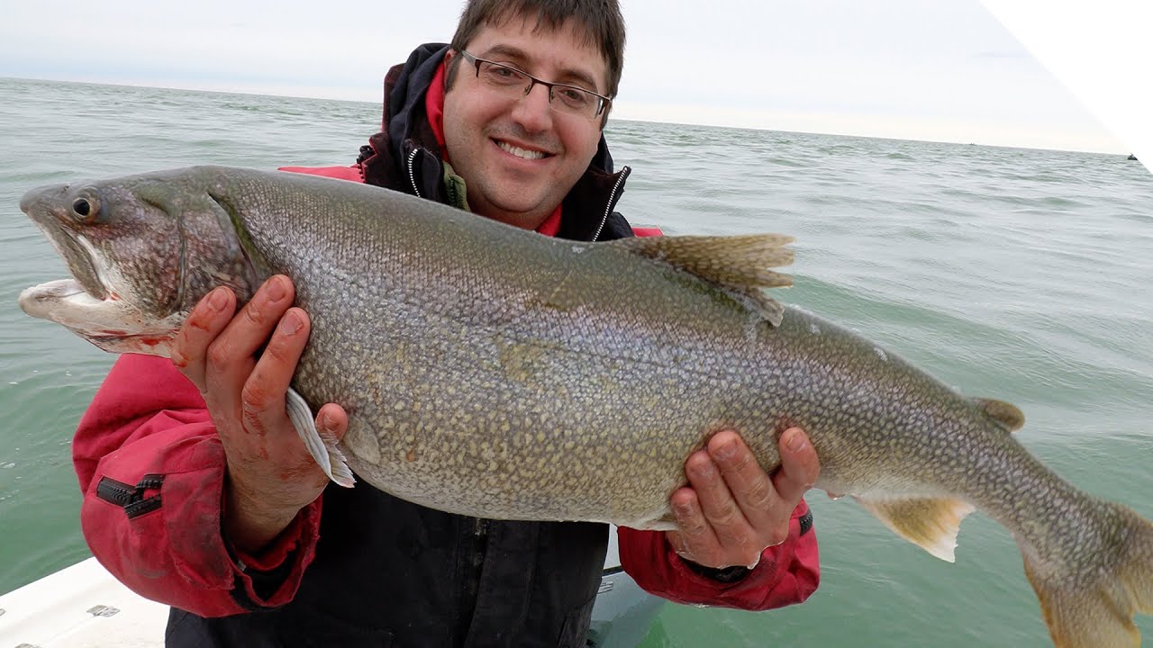 Jigging in Lake Trout with new Skoolie Minnows!