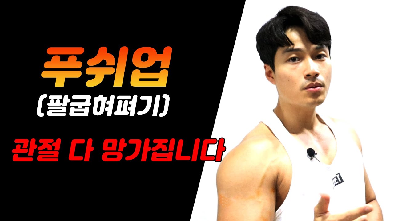 푸쉬업 하는분 꼭 보셔야합니다..