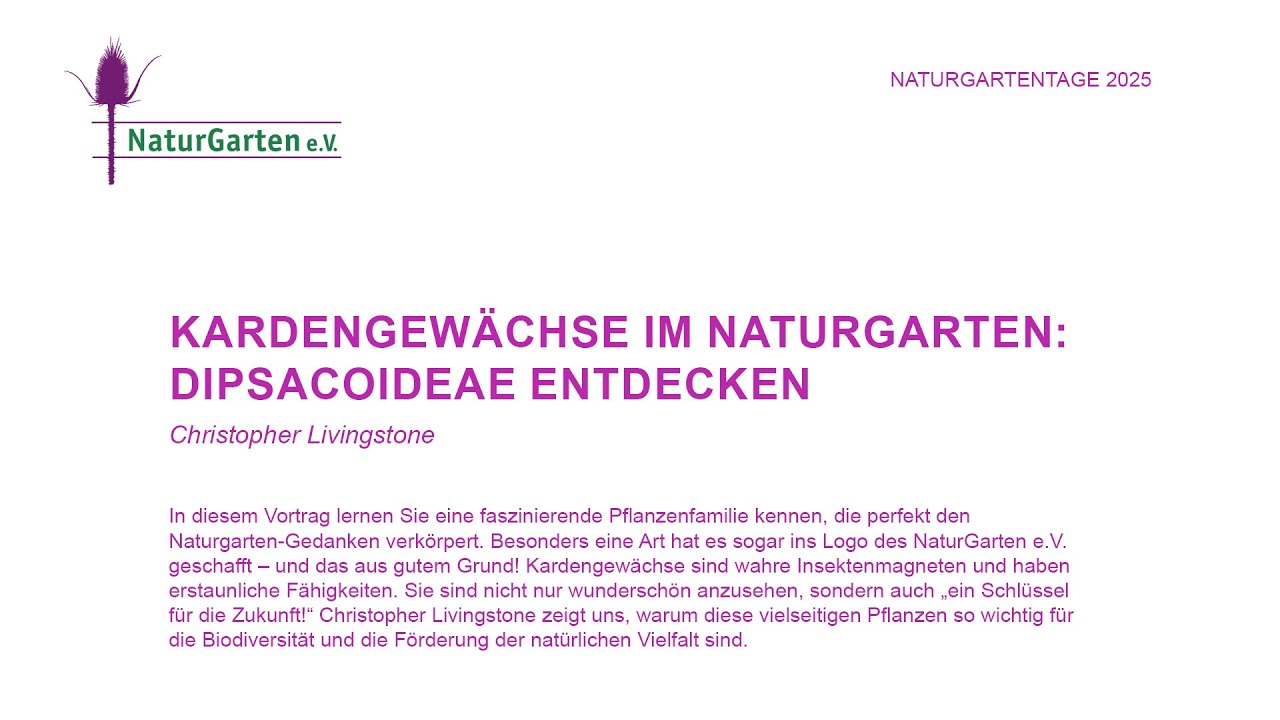 Naturgartentage 2025 | Kardengewächse im Naturgarten: Dipsacoideae entdecken
