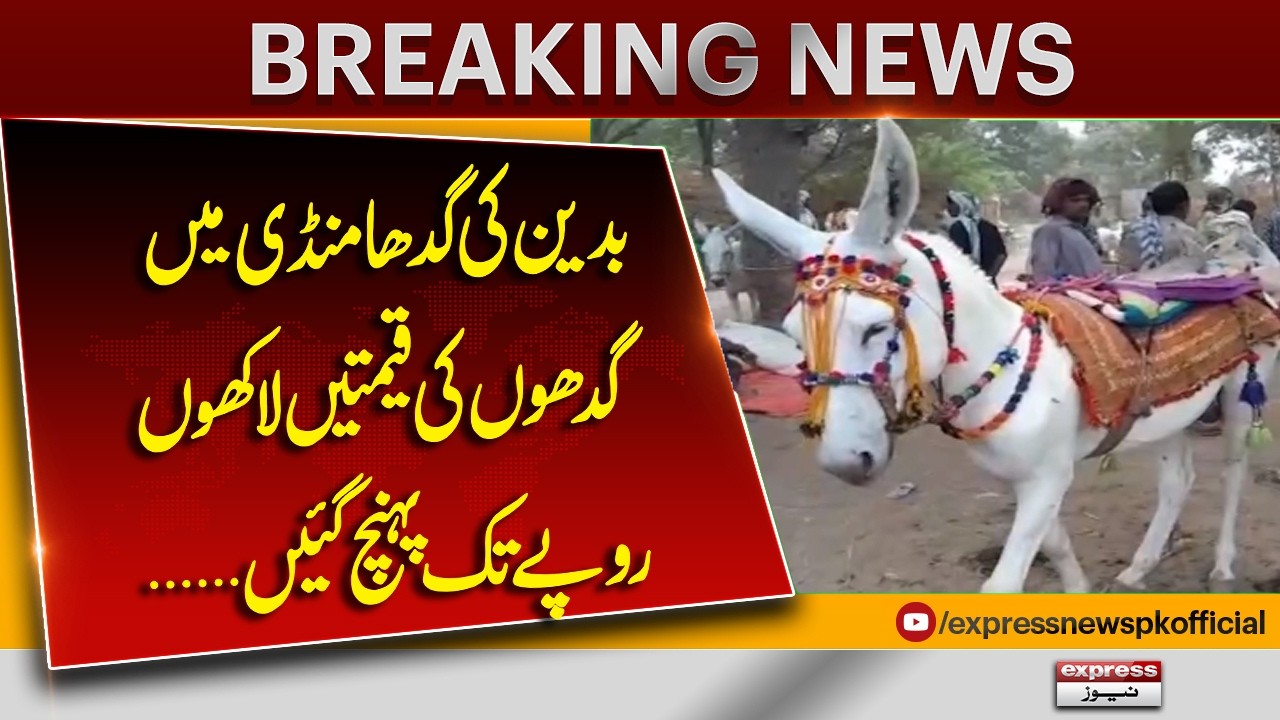 Pakistan's Famous Donkey Market! Rare Donkeys Sell for Up to Rs. 500,000 | Pakistan News