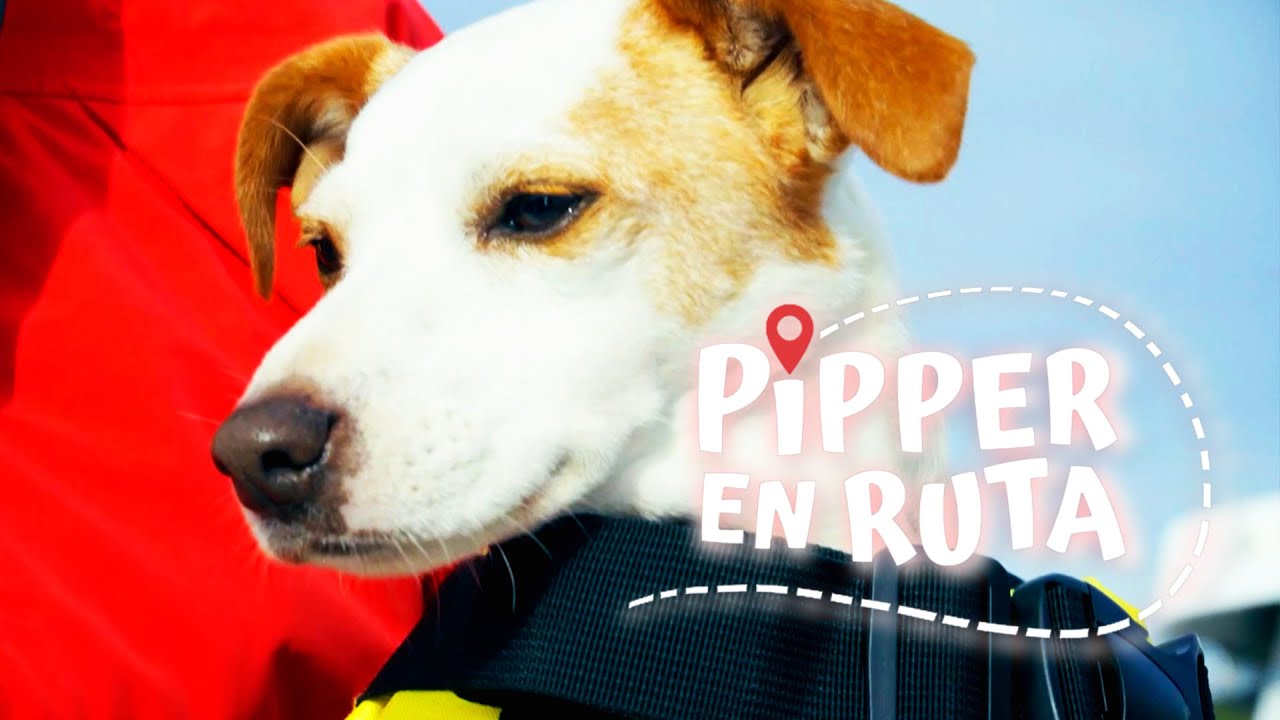 Pipper en ruta - Costa brava | La2