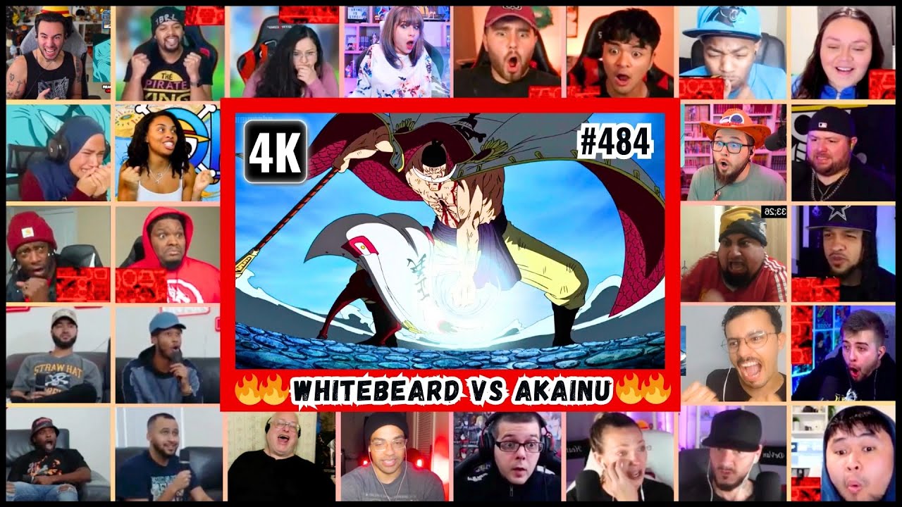 🔥🔥30+ Reactors WHITEBEARD VS AKAINU Mega Reaction Mashup -One Piece Episode 484 Mega Reaction Mashup