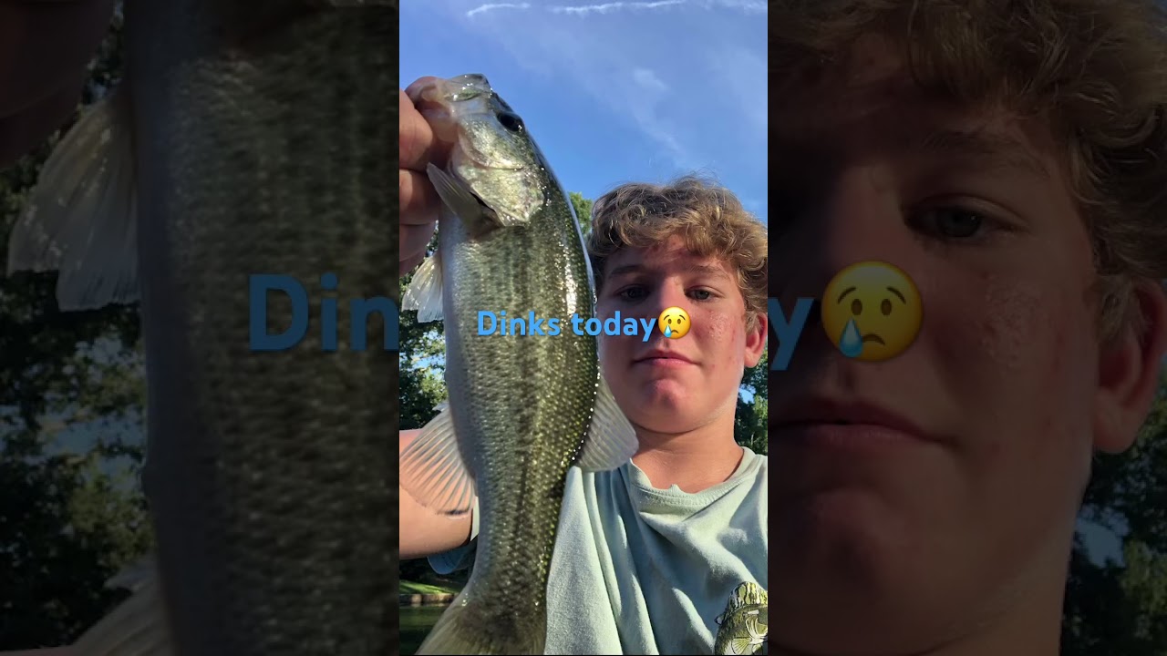 #dinks#bassfishing #fishing #carp #sportfishing #fish #bassfish