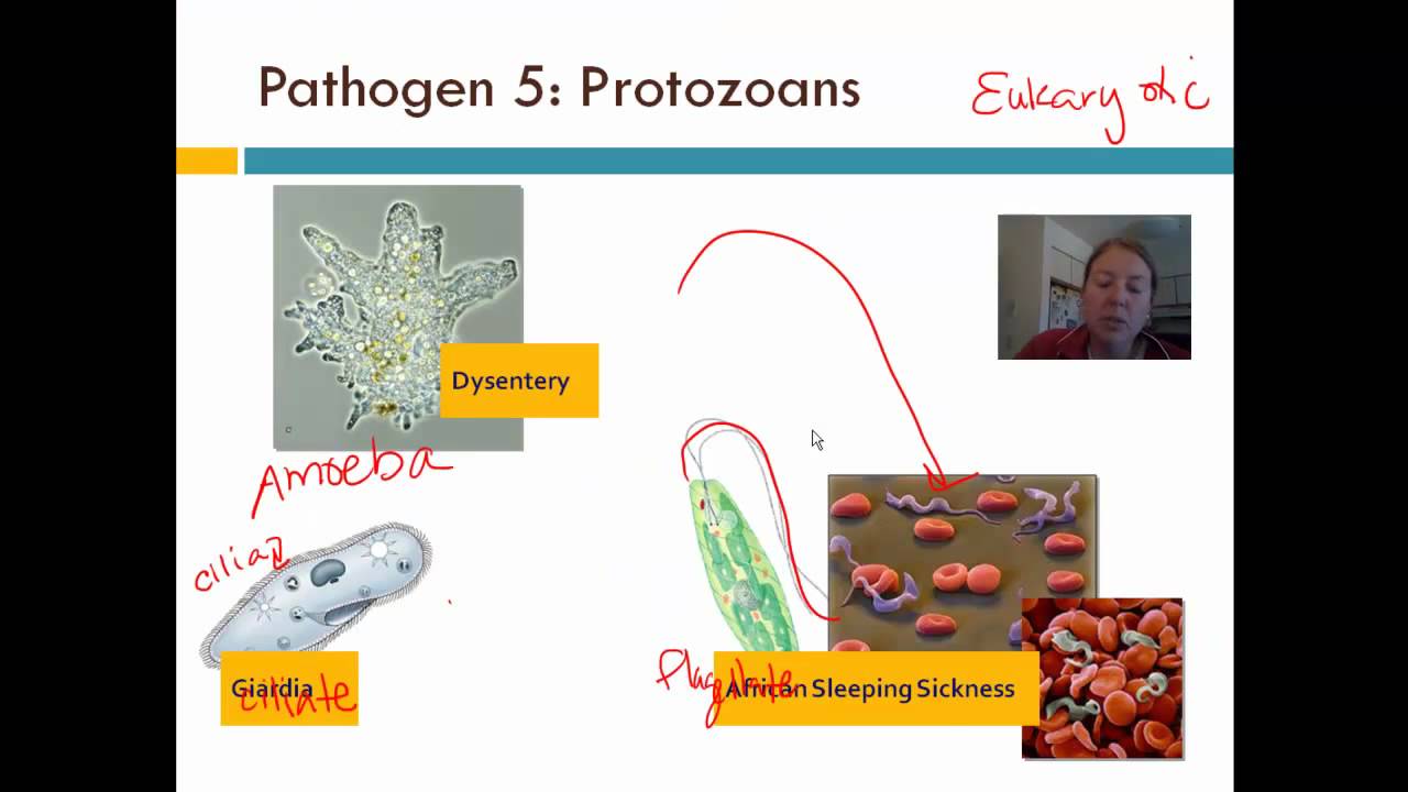 Pathogens