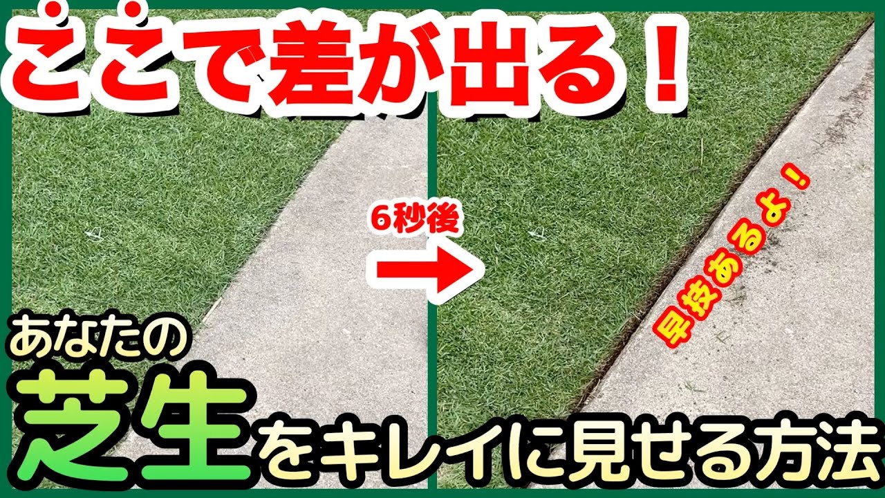 【褒められる芝生】芝生のキワ処理ってそんなに簡単にできるの！？暑くなる前にラクな道具と方法を見つけましょう！