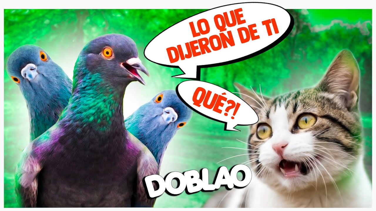 EL PAJARO CIZA&Ntilde;ERO | DOBLAO