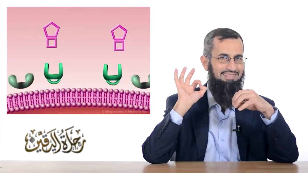 هل الله موجود وهل نظرية التطور حقيقة الحلقه 42