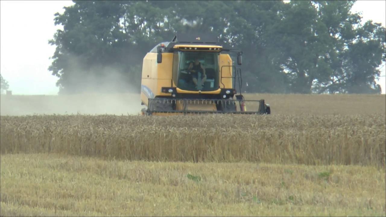 NEW HOLLAND TC 5.80 - żniwa 2016