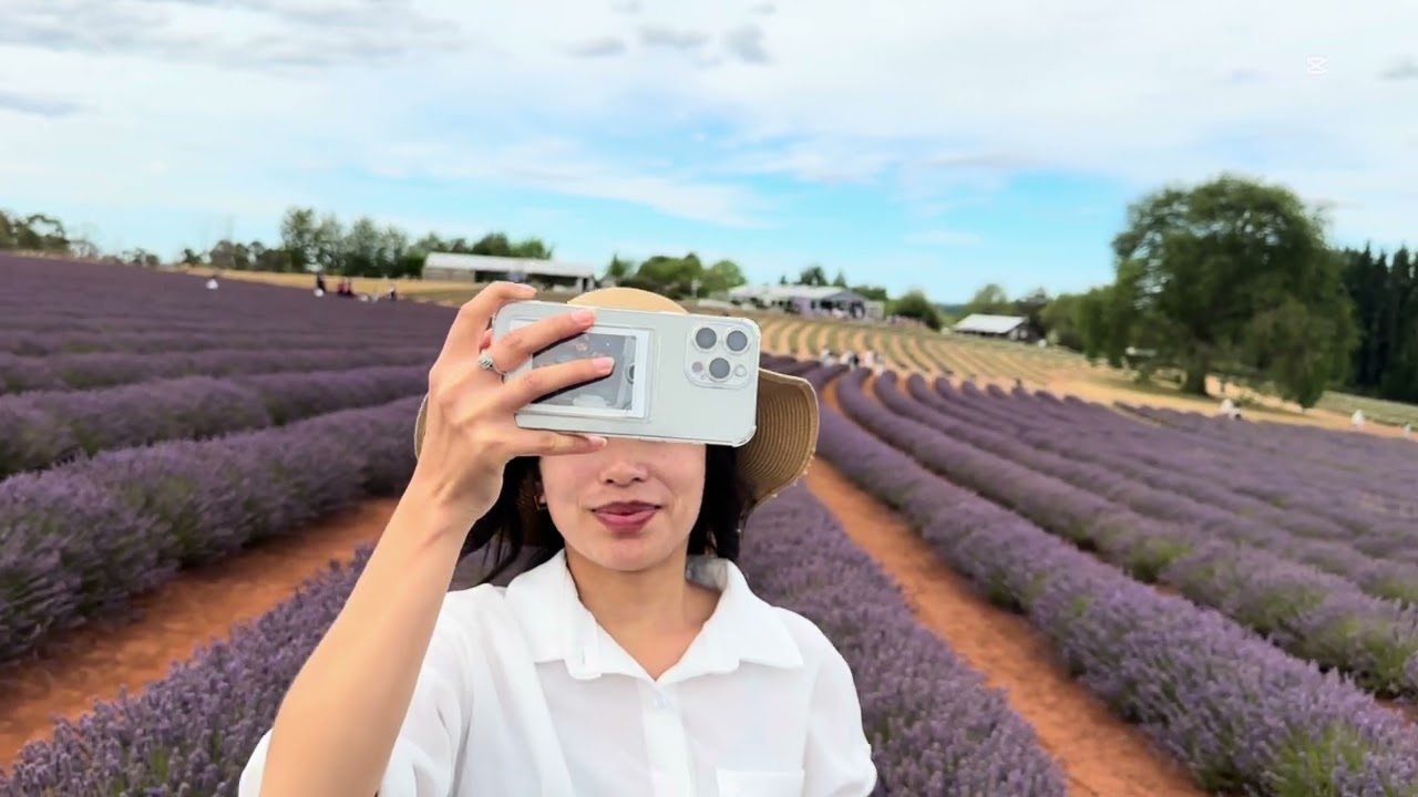 Lavender Farm || Tasmania || sejal sonika are exploring another state of Australia || Nepali Jodi 