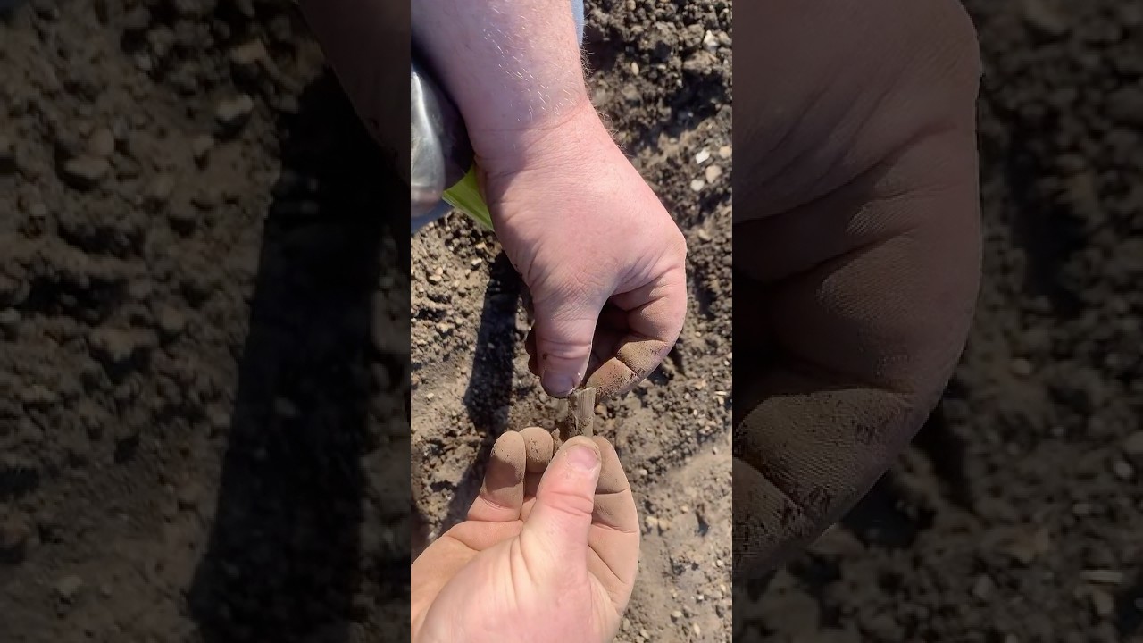 Victorian train or car pencil Sharpner found Metal detecting Scotland xp deus 82 vdu xp deus