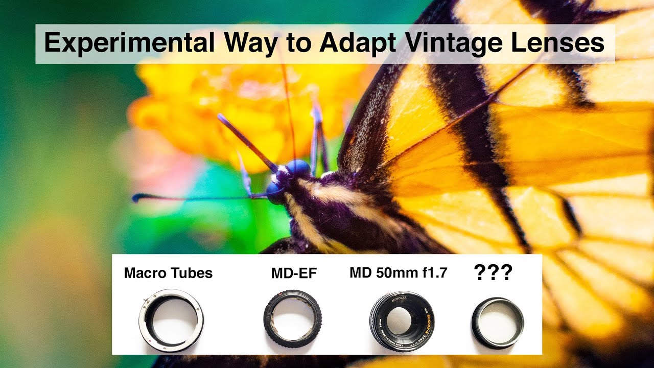 Experimental way to adapt vintage Minolta lenses for Canon
