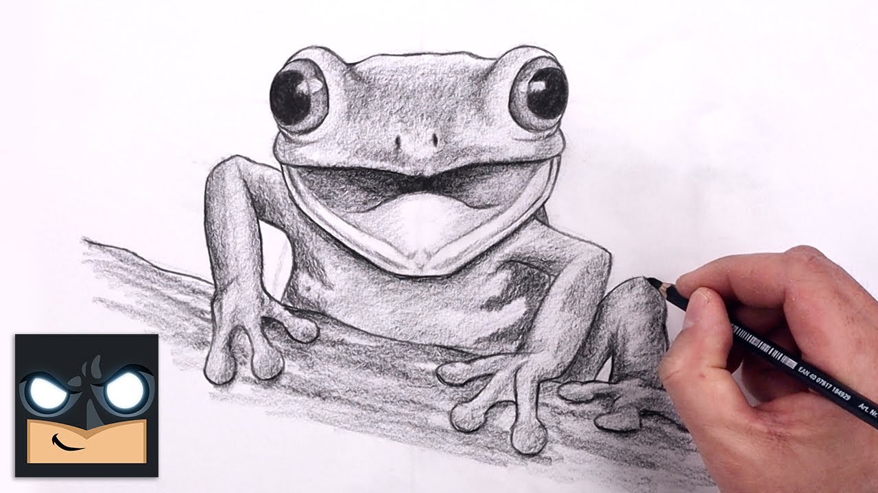 How To Draw Tree Frog | Beginner Pencil Sketch Tutorial (Step-by-Step)